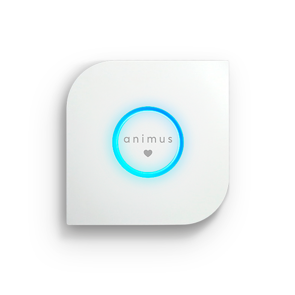 animus heart